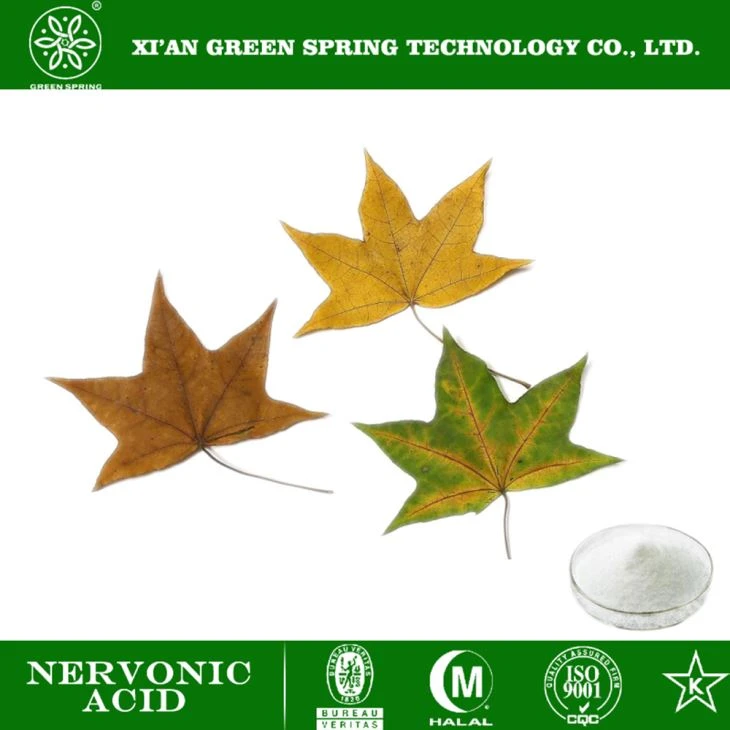 Pulbere de acid nervonic